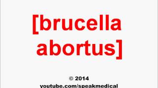 Pronounce Brucella abortus  SpeakMedical [upl. by Ilanos]