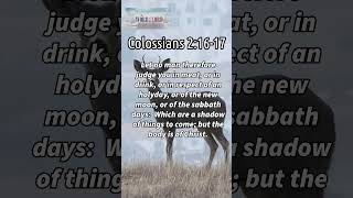 Daily Bible Verse Colossians 21617 wordsofjesuseachday bibleverse wordfortoday faithjourney [upl. by Kery798]