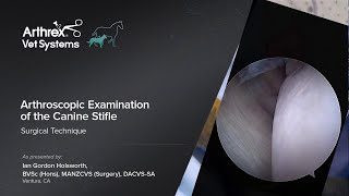 Arthroscopic Examination of the Canine Stifle [upl. by Foss]