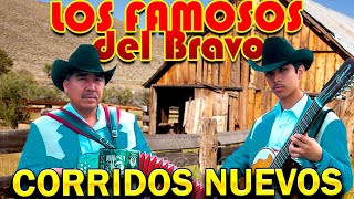 Los Famosos Del Bravo  15 Corridos Famosos Album Completo [upl. by Aterg]