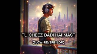 Tucheezbadihaimastsongslowreverblofi [upl. by Roxy]