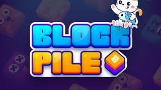 Block Pile 3D [upl. by Malilliw]