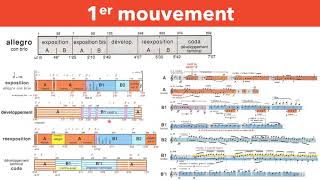 Beethoven  5ème Symphonie  Analyse 1er mouvement [upl. by Ialda]