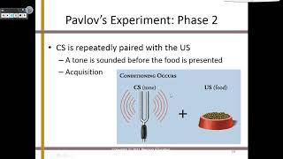 PSYC Lecture Learning [upl. by Steddman]