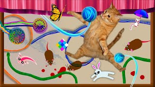 JUEGOS MIXTOS PARA GATOS EN 1 VIDEO  Ratones estambre etc en pantalla ENTRETENIMIENTO DE GATOS [upl. by Jerold193]