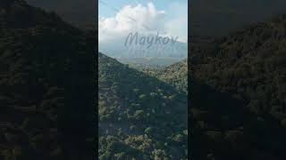 Vertical video Nicolosi Sicily Italy Volcanic craters overgrown with forest on the slopes of Mou [upl. by Jessabell]