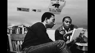 Gordon Parks Stokely Carmichael and Black Power  Museum of Fine Arts Houston exhibition tour [upl. by Ennayk]