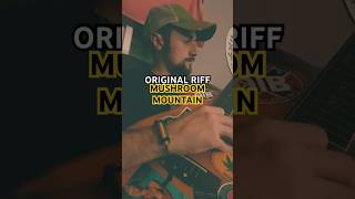 MUSHROOM MOUNTAIN guitar shorts foryou acousticguitar riff [upl. by Dnomrej524]