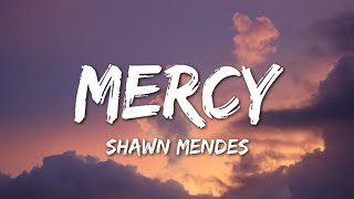 Shawn Mendes  Mercy Lyrics [upl. by Gian]