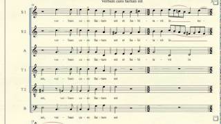 Hassler Verbum caro factum est tenor 2 [upl. by Cataldo724]