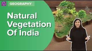 Natural Vegetation Of India  Class 6  Geography  Learn With BYJUS [upl. by Bergh]