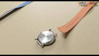 Timex Weekender Strap  Timex Womens T2P370 Watch Review [upl. by Lavro]