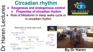 Circadian rhythms [upl. by Lezley]