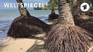 Klimawandel macht Kiribati zu Klimaflüchtlingen I Weltspiegel [upl. by Enilasor]