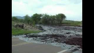 Chiricahua Mountains West Turkey Creek flash flood at Arizona State Hwy 181 August 11 2011wmv [upl. by Airlie]