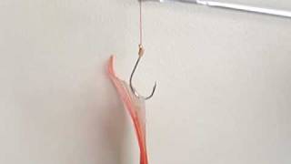 Easy way to unhook sea fish disgorger  Kockney Koi [upl. by Akinahs39]