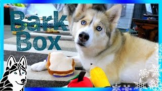 HUSKIES BACK TO SCHOOL BarkBox UnBoxing [upl. by Leirad740]