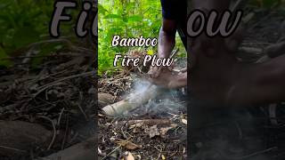 Fire plow in the interior forest firemaking [upl. by Ynnaffit]