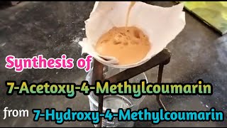 Synthesis of 7Acetoxy4Methylcoumarin from 7Hydroxy4Methylcoumarin [upl. by Nnep]