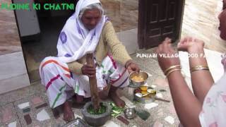 Pudine ki Chatni Recipe ❤ Grandma Style Recipe ❤ Punjabi Village Pudine ki Chatni [upl. by Boyd292]