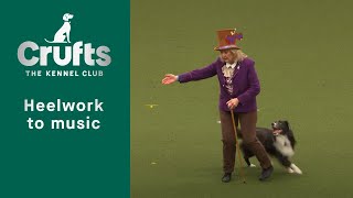 Heelwork to Music Competition  Part Three Crufts 2023 [upl. by Martelle813]