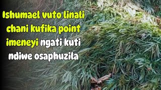 Ishumael vuto linali chani kufika point imeneyi ngati kuti ndiwe osaphuzila zogwetsa ulesi ndithu [upl. by Mareld]