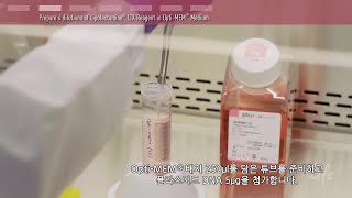 Plasmid DNA Transfection Protocol  한국어 [upl. by Bilek]