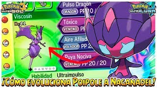 ¡Cómo evoluciona Poipole a Naganadel FÁCIL  Pokémon Ultrasol y Ultraluna [upl. by Eyak]