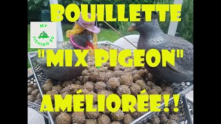 LA BOUILLETTE quotTYPEquot POUR LES SPECIMENS Une Recette bien équilibrée qui COGNE FORT [upl. by Lach211]