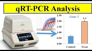 Analyzing real time PCR data [upl. by Dumond28]