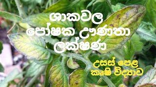 ශාක වල පෝෂක ඌණතා ලක්‍ෂණ​ ALAgriculturalScience [upl. by Adirem]