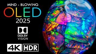 MINDBLOWING 2025 OLED 😮 4K 60fps HDR Dolby Vision  4K Video [upl. by Undis819]