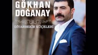 Gökhan Doğanay  Diyarbekir Küçeleri 2016 [upl. by Mcdermott269]