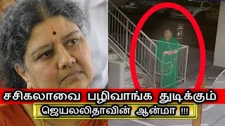 Jayalalitha GHOST So Angry With Sasikala  ஜெயலலிதாவின் ஆவி பழிவாங்குமா  Political News [upl. by Ahk419]