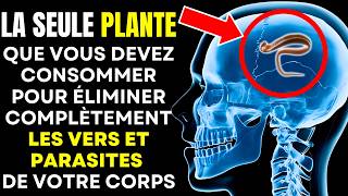 Seulement 2 cuillères Expulse tous les vers et parasites de votre corps [upl. by Bower]