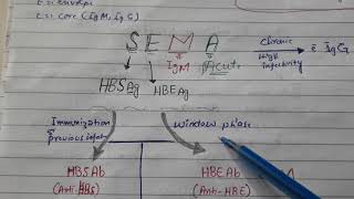 Hepatitis B serological markers with super easy mnemonic [upl. by Munford]