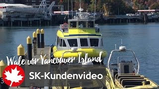 Wale vor Vancouver Island SKKundenvideo 2016 [upl. by Anelrahs]