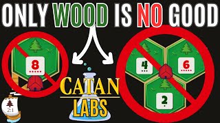 ONLY Wood is NO Good  CATAN LABS [upl. by Yllus]