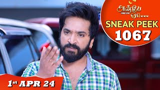 Anbe Vaa Serial  EP 1067 Sneak Peek  1st Apr 2024  Virat  ShreeGopika  Saregama TV Shows Tamil [upl. by Nelyaw]