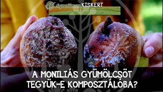 A moníliás gyümölcsöt tegyüke komposztálóba [upl. by Amory]