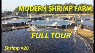 SUPERINTENSIVE MODERN SHRIMP FARM  FULL TOUR 20  FISH [upl. by Farrand942]