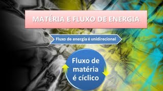 Matéria e Fluxo de Energia cadeia alimentar [upl. by Emmy]