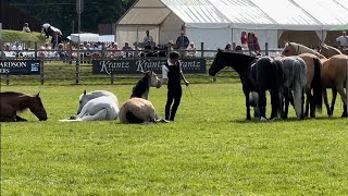 Lincolnshire Show 2024 Shetland pony grand national 1 man talks to 8 horses amp much more [upl. by Lananna]