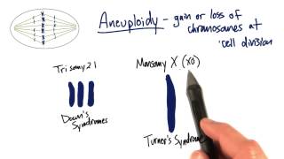 Trisomy and Monosomy  Tales from the Genome [upl. by Ariaet]