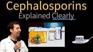 Cephalosporins  Antibiotics Explained Clearly [upl. by Ahteres]