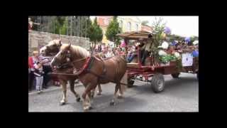 200 Jahre Brunnenfest Bad Langensalza Umzug 2012 [upl. by Dina591]