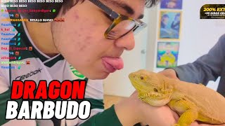 SACHA conoce al quotDRAGON BARBUDOquot [upl. by Neerihs]