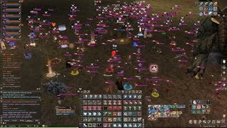 Lineage 2  Spellsinger Antharas PVP x40 Gracia Final [upl. by Assiram]