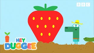 The Food Growing Badge  Hey Duggee [upl. by Josephine]