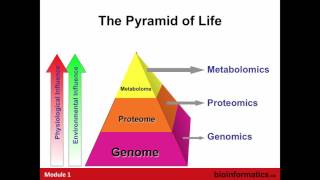 Introduction to Metabolomics [upl. by Adnorehs]